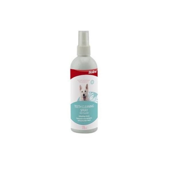 Bioline teeth cleaning