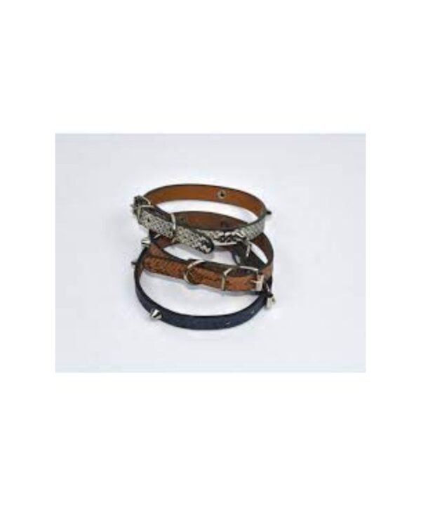 Leather collar spice L