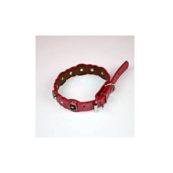 Puppy harness