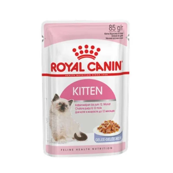 RC kitten jelly