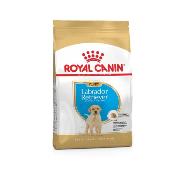 RC lab puppy 3kg