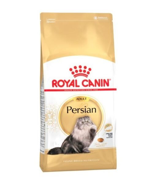 RC persian adult