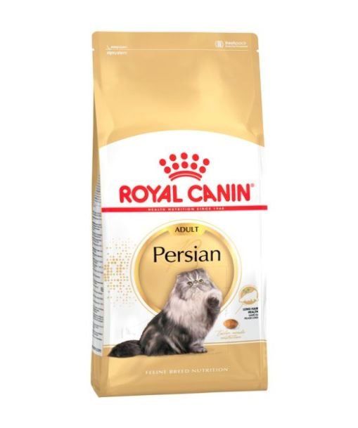 RC persian adult