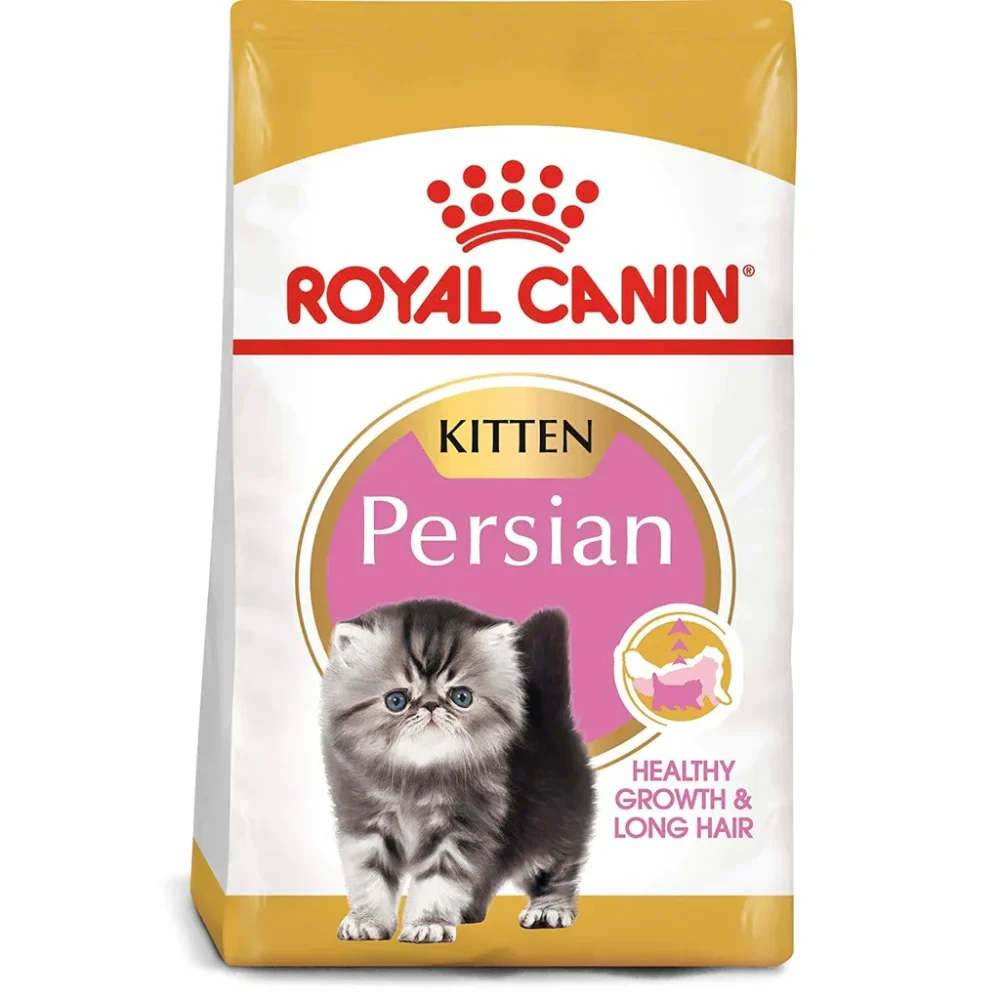 RC Persian kitten 4kg