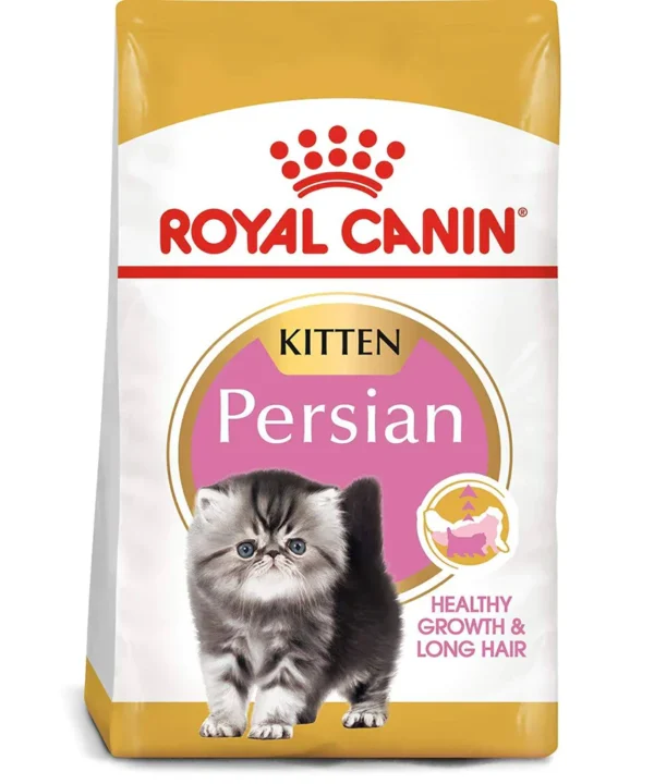 RC Persian kitten 4kg