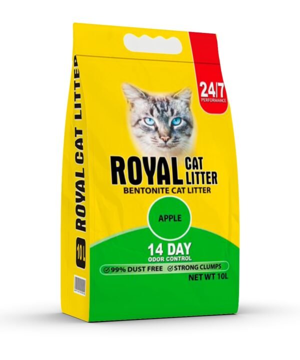 Royal cat Apple10L