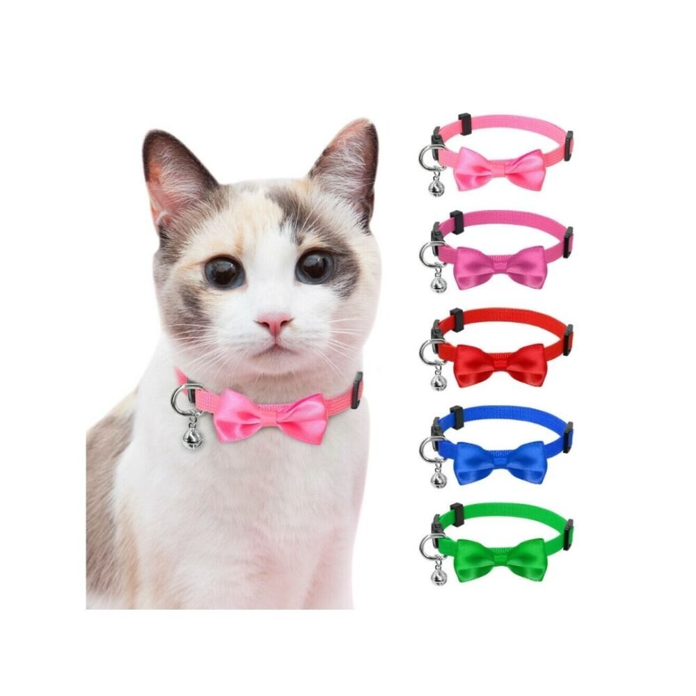 cat collar