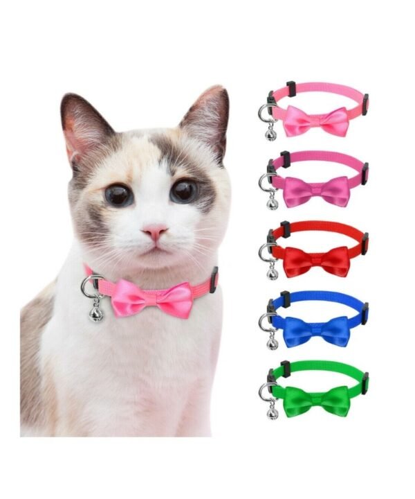 cat collar