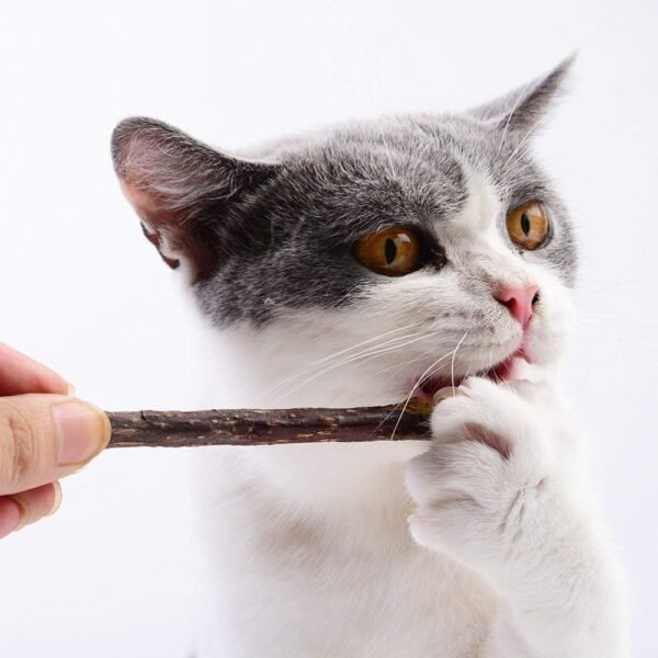cat nip sticks