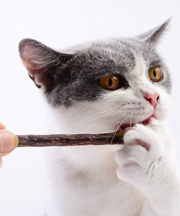 cat nip sticks