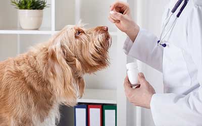 deworming